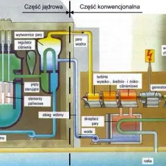Elektrownia jądrowa: Jak działa, czy jest bezpieczna i co z Polską?