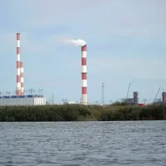 Dymiące kominy elektrowni Dolna Odra na tle nieba. Woda i trzciny na pierwszym planie.