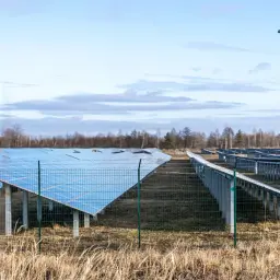 Duże pole paneli fotowoltaicznych. Zastanawiasz się, ile PGE płacą za dzierżawę pod fotowoltaikę?