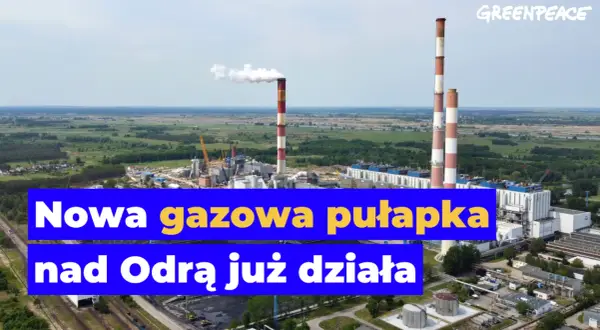 Elektrownia Dolna Odra: Jak gaz i OZE wzmocnią bezpieczeństwo Polski?