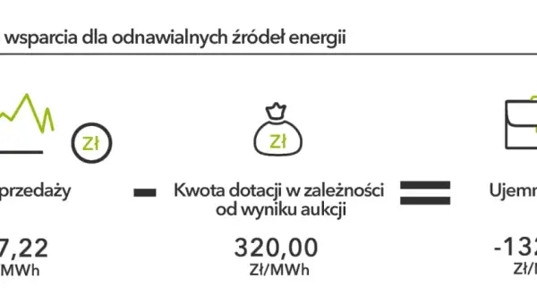 Aukcje OZE: Jak działają i jak wygrać? Przewodnik eksperta.