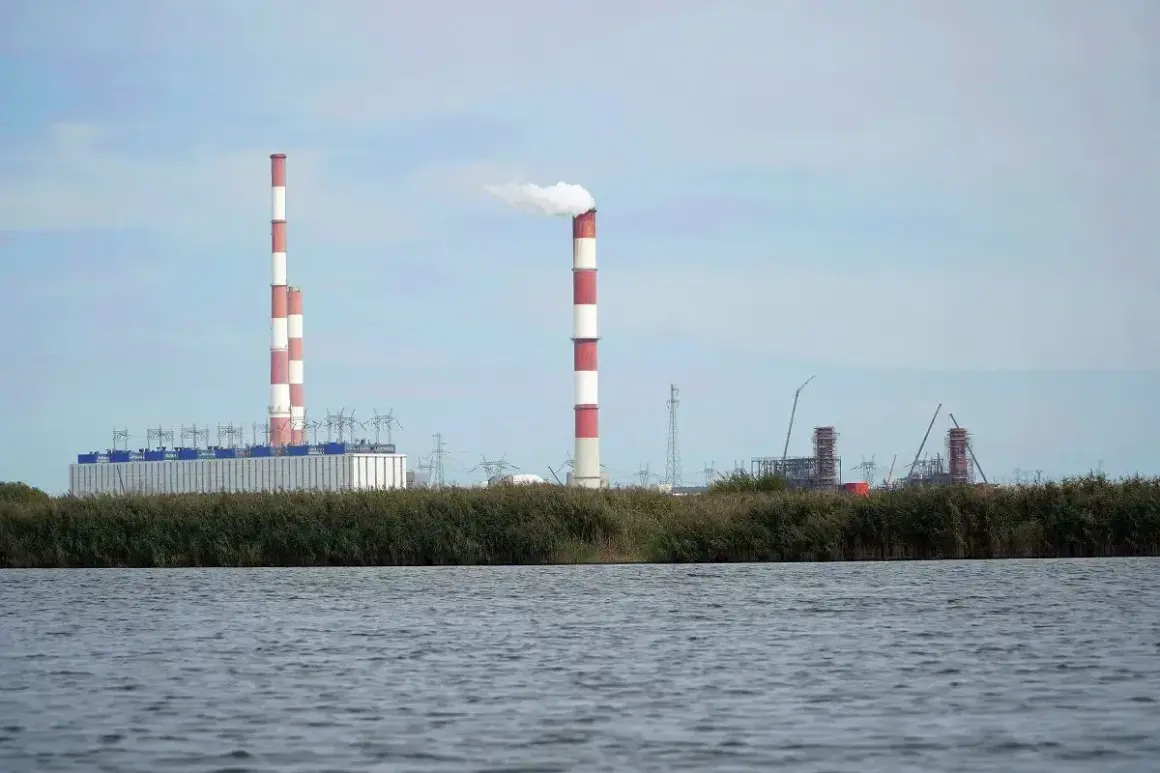 Dymiące kominy elektrowni Dolna Odra na tle nieba. Woda i trzciny na pierwszym planie.