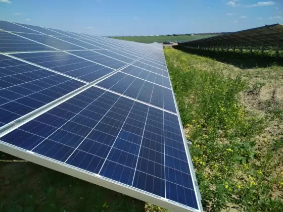 Farma fotowoltaiczna: Ile zarobisz i kiedy zwróci się inwestycja?